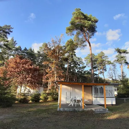 Seenland Betriebsgesellschaft Mbh