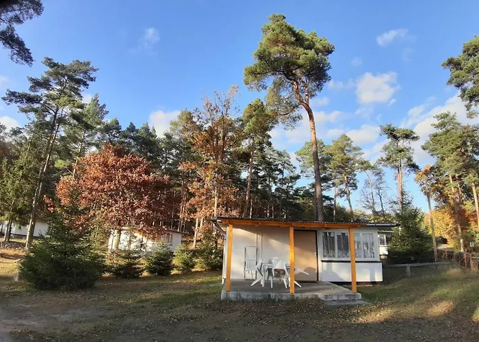 Seenland Betriebsgesellschaft Mbh